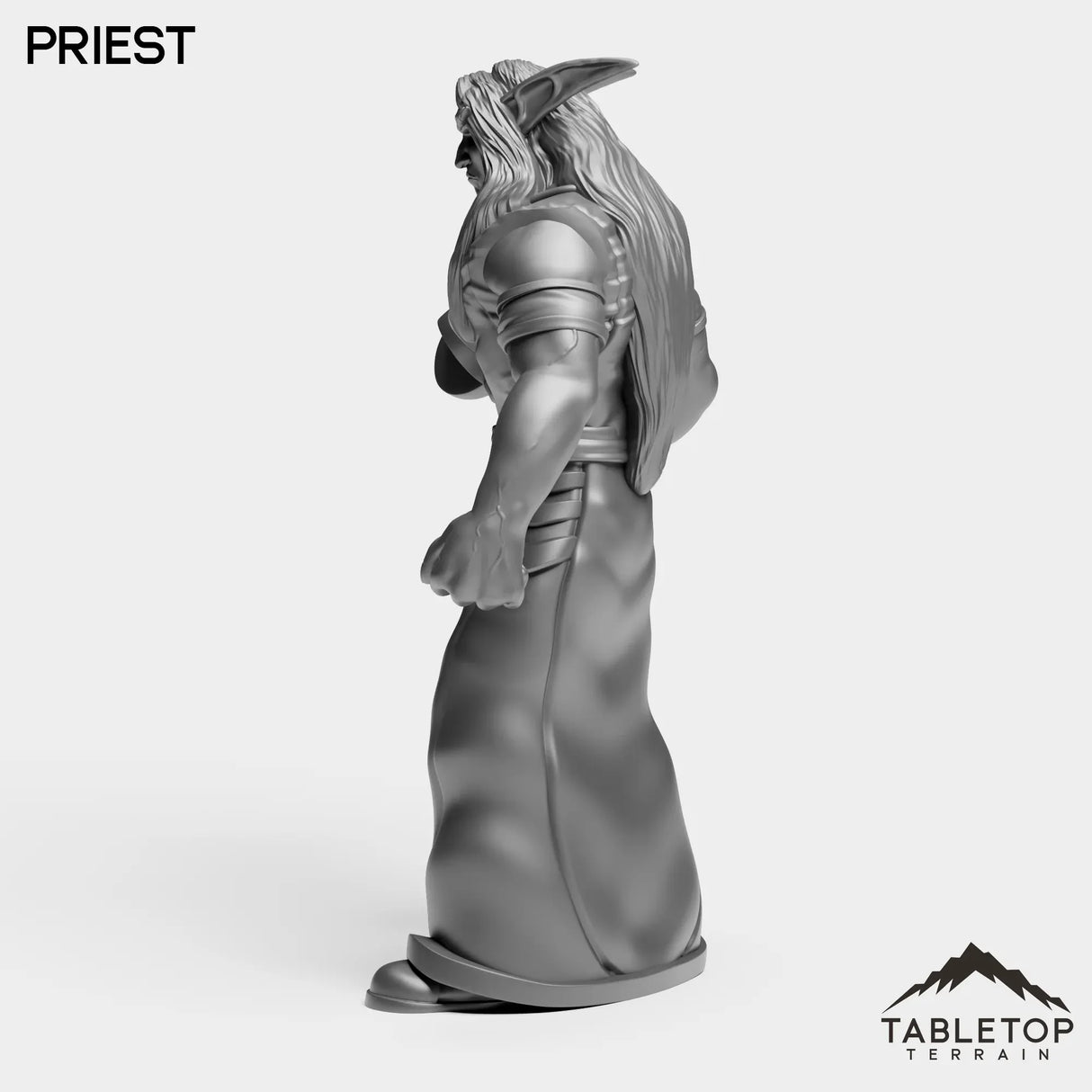 Tabletop Terrain Miniature Night Priest Starter