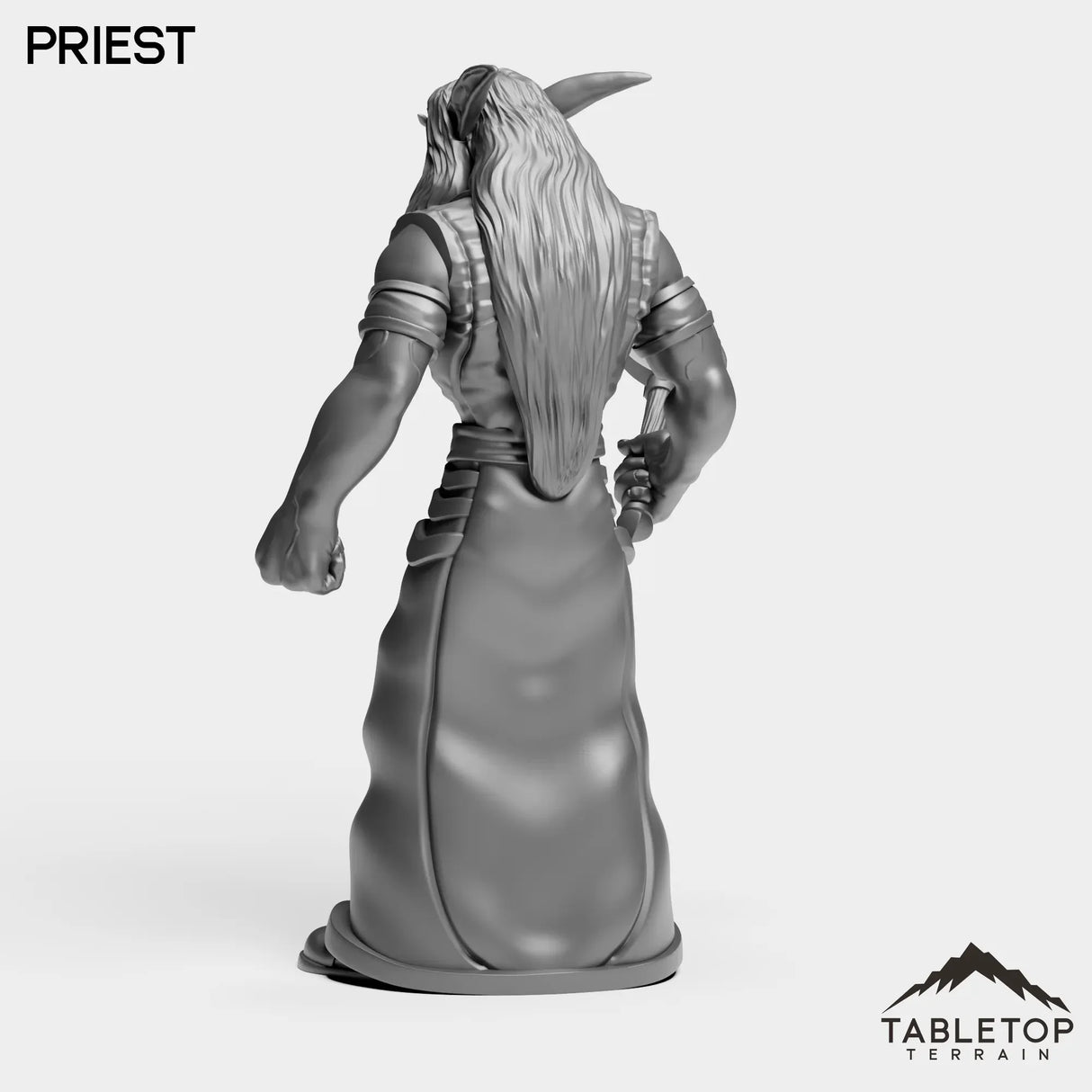 Tabletop Terrain Miniature Night Priest Starter
