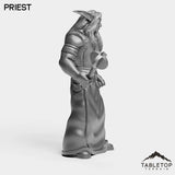 Tabletop Terrain Miniature Night Priest Starter