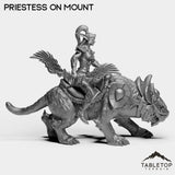 Tabletop Terrain Miniature Night Priestess on Mount