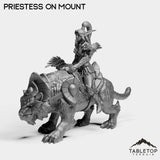 Tabletop Terrain Miniature Night Priestess on Mount
