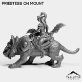 Tabletop Terrain Miniature Night Priestess on Mount