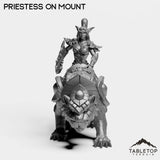 Tabletop Terrain Miniature Night Priestess on Mount