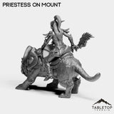 Tabletop Terrain Miniature Night Priestess on Mount