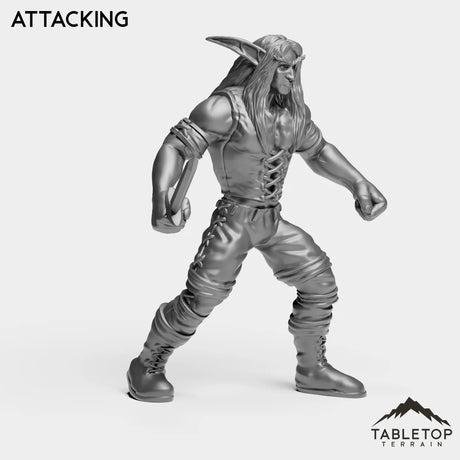 Tabletop Terrain Miniature Night Rogue Starter