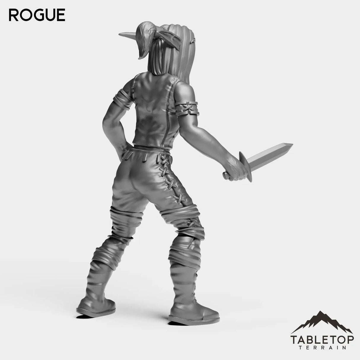 Tabletop Terrain Miniature Night Rogue Starter Female