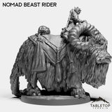 Tabletop Terrain Miniature Nomad Beast Rider