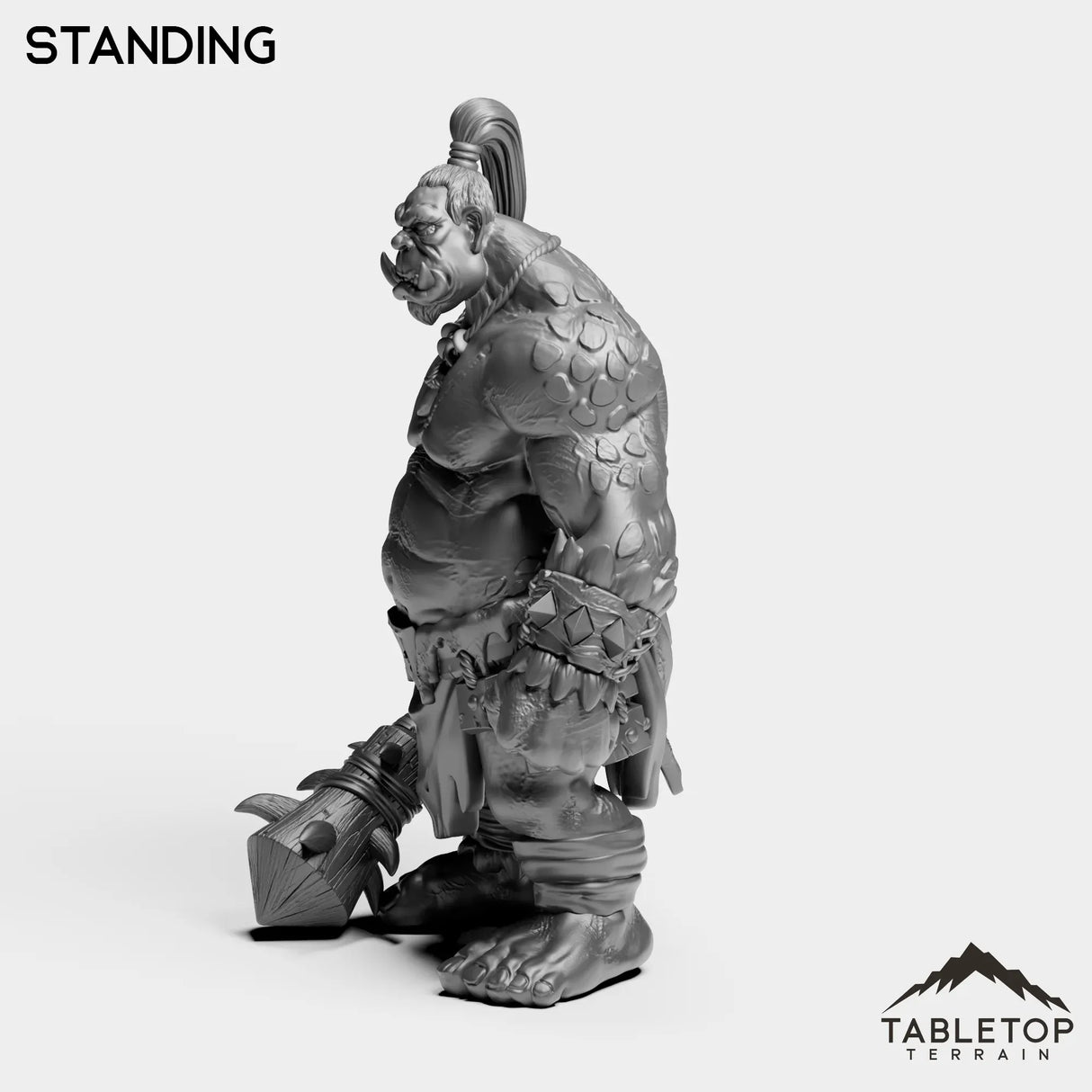 Tabletop Terrain Miniature Ogre 1