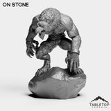 Tabletop Terrain Miniature On Stone Werewolf Feral