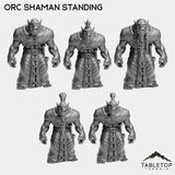 Tabletop Terrain Miniature Orc Shaman Standing Orc Starters