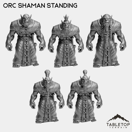 Tabletop Terrain Miniature Orc Shaman Standing Orc Starters