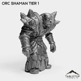 Tabletop Terrain Miniature Orc Shaman Tier 1