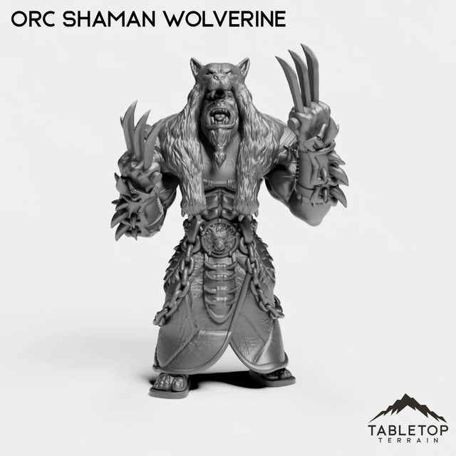 Tabletop Terrain Miniature Orc Shaman Wolverine