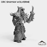 Tabletop Terrain Miniature Orc Shaman Wolverine