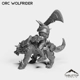 Tabletop Terrain Miniature Orc Wolfrider
