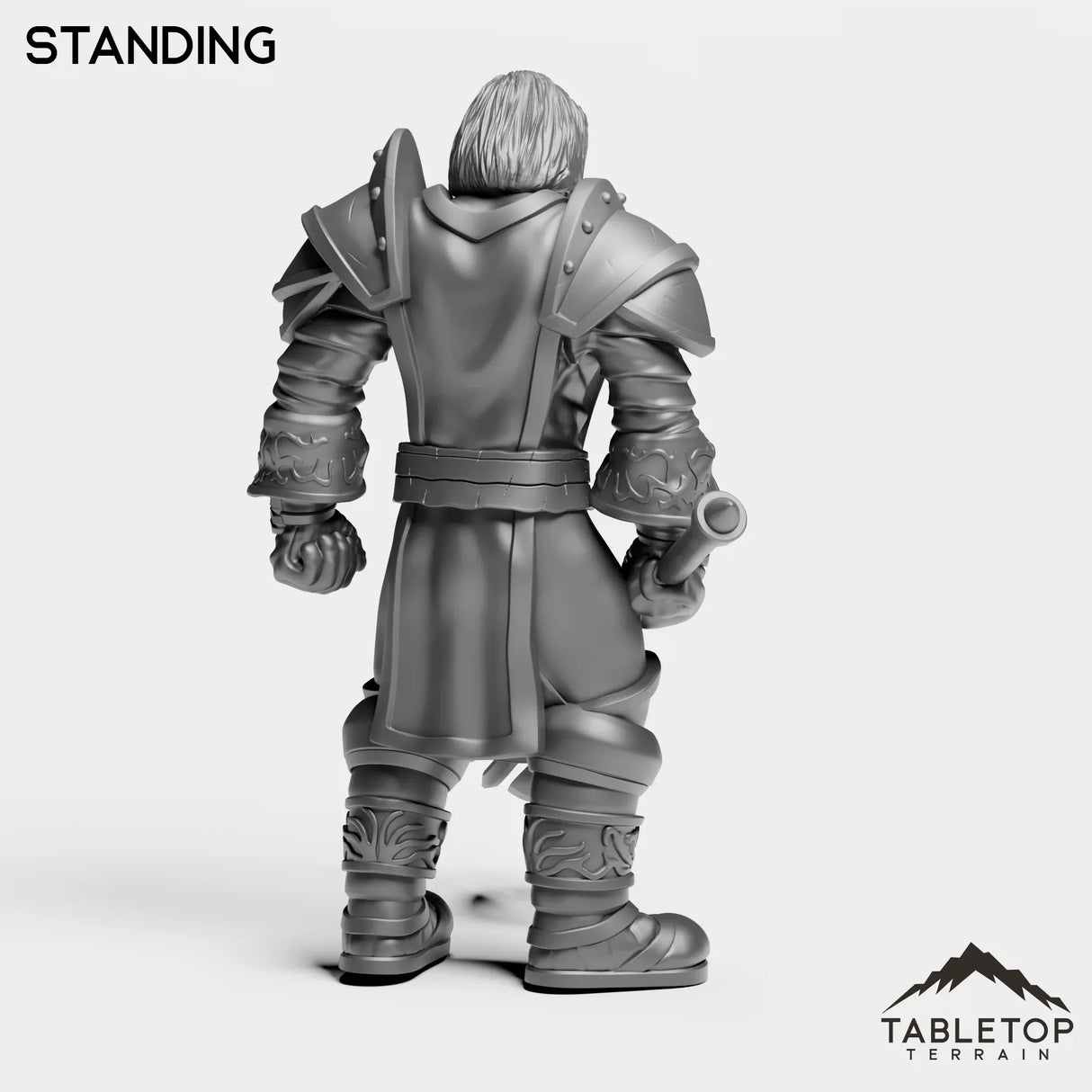 Tabletop Terrain Miniature Paladin Commander
