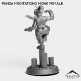 Tabletop Terrain Miniature Panda Meditating Monk Female
