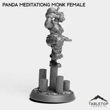 Tabletop Terrain Miniature Panda Meditating Monk Female