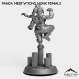 Tabletop Terrain Miniature Panda Meditating Monk Female