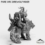 Tabletop Terrain Miniature Pure Orc Direwolf Rider
