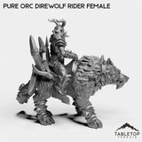 Tabletop Terrain Miniature Pure Orc Direwolf Rider Female