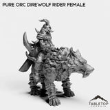 Tabletop Terrain Miniature Pure Orc Direwolf Rider Female