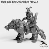 Tabletop Terrain Miniature Pure Orc Direwolf Rider Female