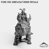 Tabletop Terrain Miniature Pure Orc Direwolf Rider Female
