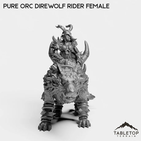 Tabletop Terrain Miniature Pure Orc Direwolf Rider Female