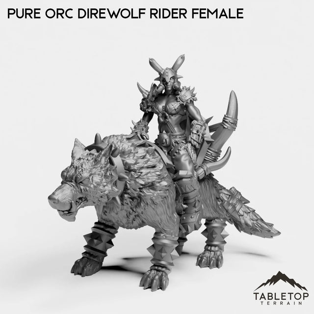 Tabletop Terrain Miniature Pure Orc Direwolf Rider Female