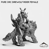 Tabletop Terrain Miniature Pure Orc Direwolf Rider Female