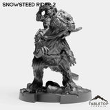 Tabletop Terrain Miniature Rider 2 Snowsteed Riders