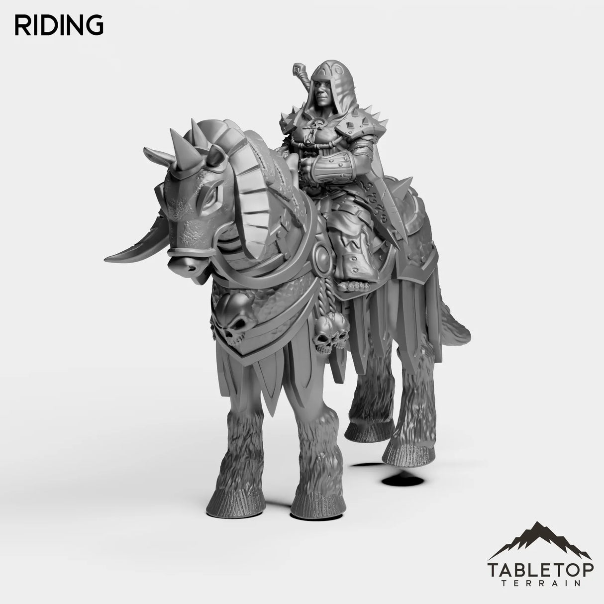 Tabletop Terrain Miniature Riding DK Dwarves Female