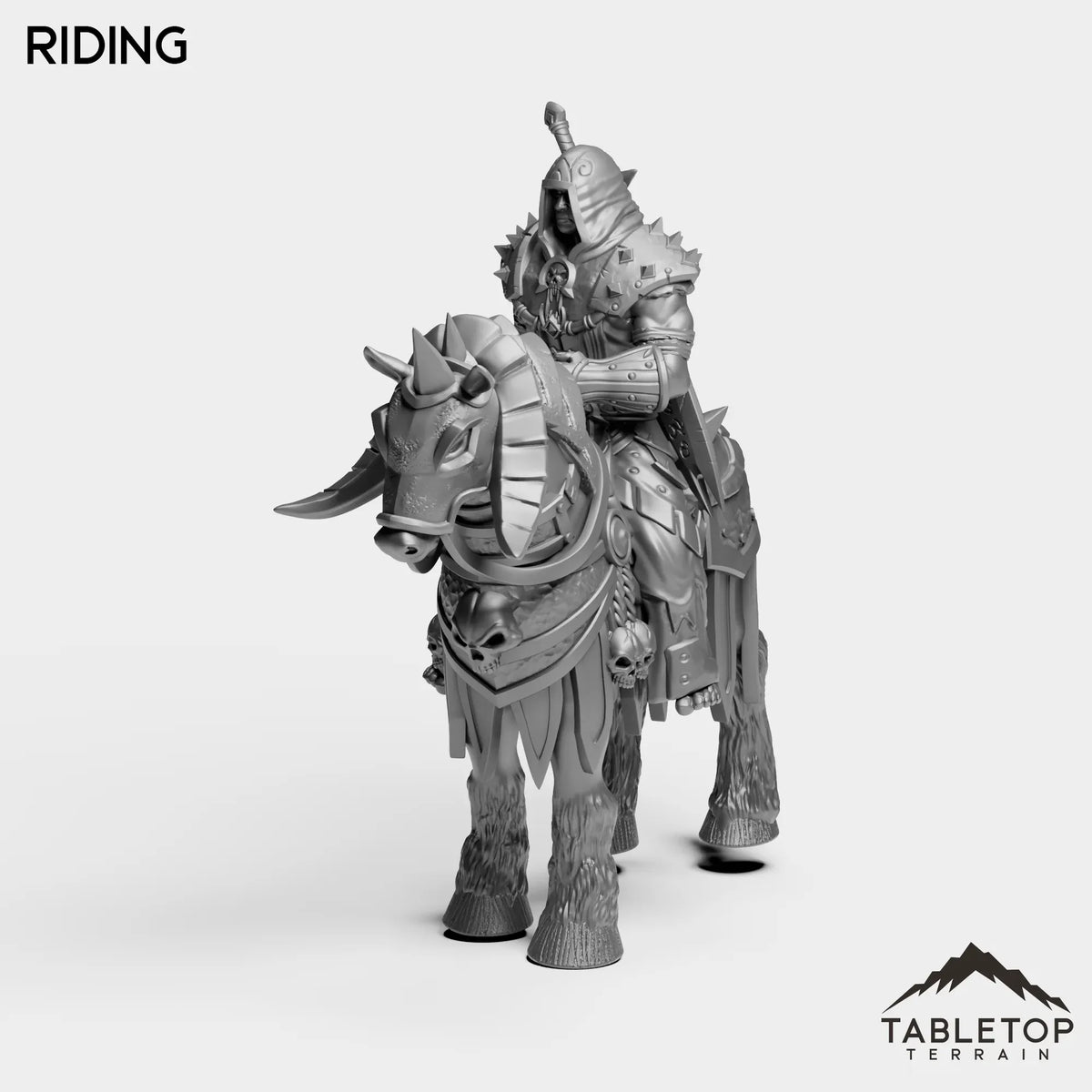 Tabletop Terrain Miniature Riding DK Human