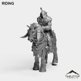 Tabletop Terrain Miniature Riding DK Humans