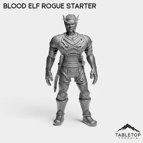 Tabletop Terrain Miniature Rogue Blood Elf Starters