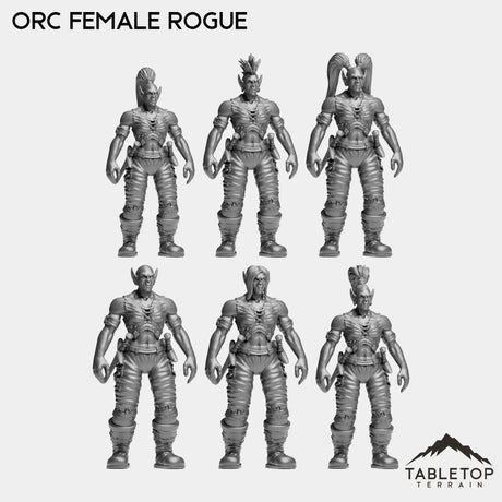 Tabletop Terrain Miniature Rogue Orc Female Starters