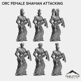 Tabletop Terrain Miniature Shaman Attacking Orc Female Starters
