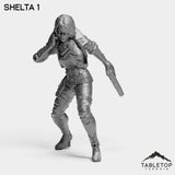 Tabletop Terrain Miniature Shelta - Nomads