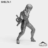 Tabletop Terrain Miniature Shelta - Nomads