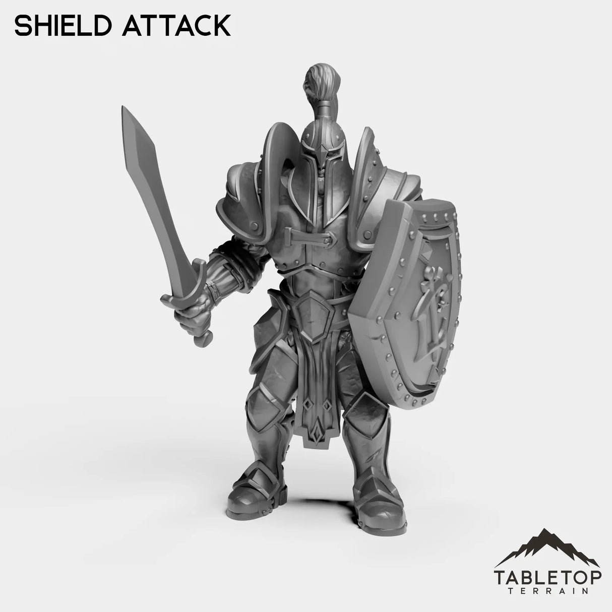 Tabletop Terrain Miniature Shield Attack Culled Knights Footman
