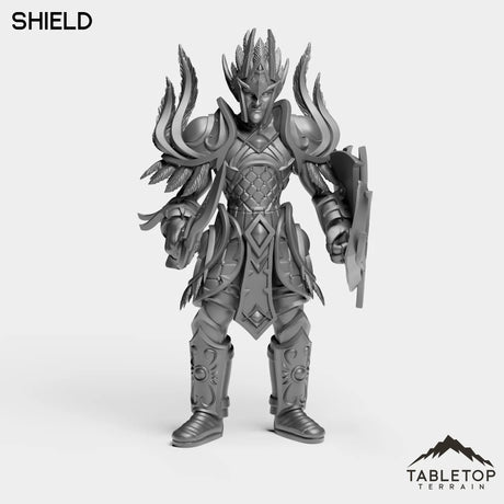 Tabletop Terrain Miniature Shield Darkness Warrior