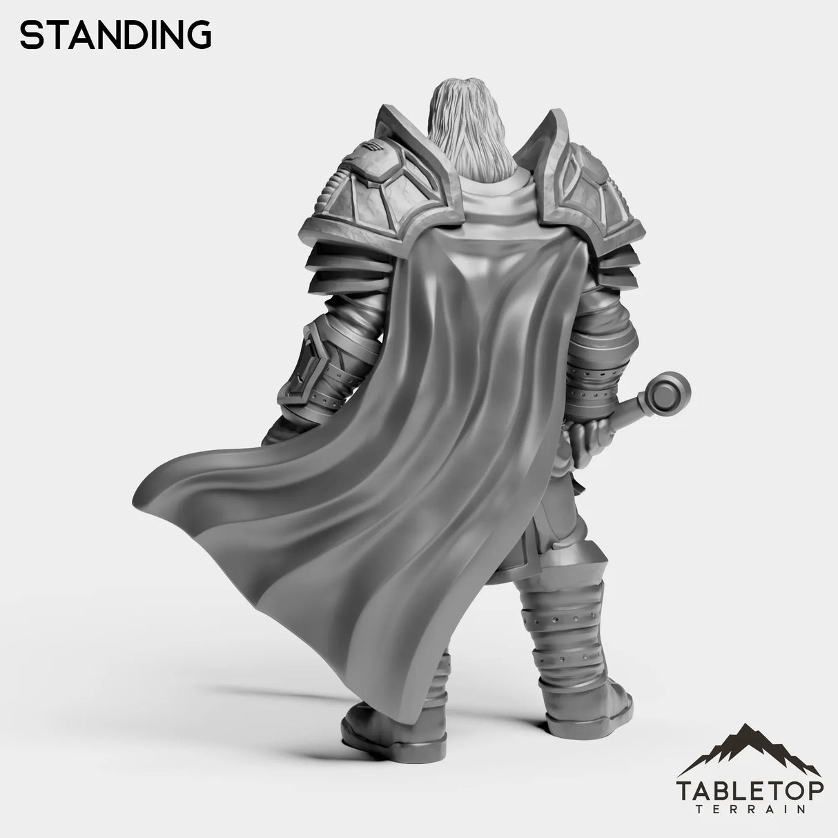 Tabletop Terrain Miniature Silver Paladin Crusader