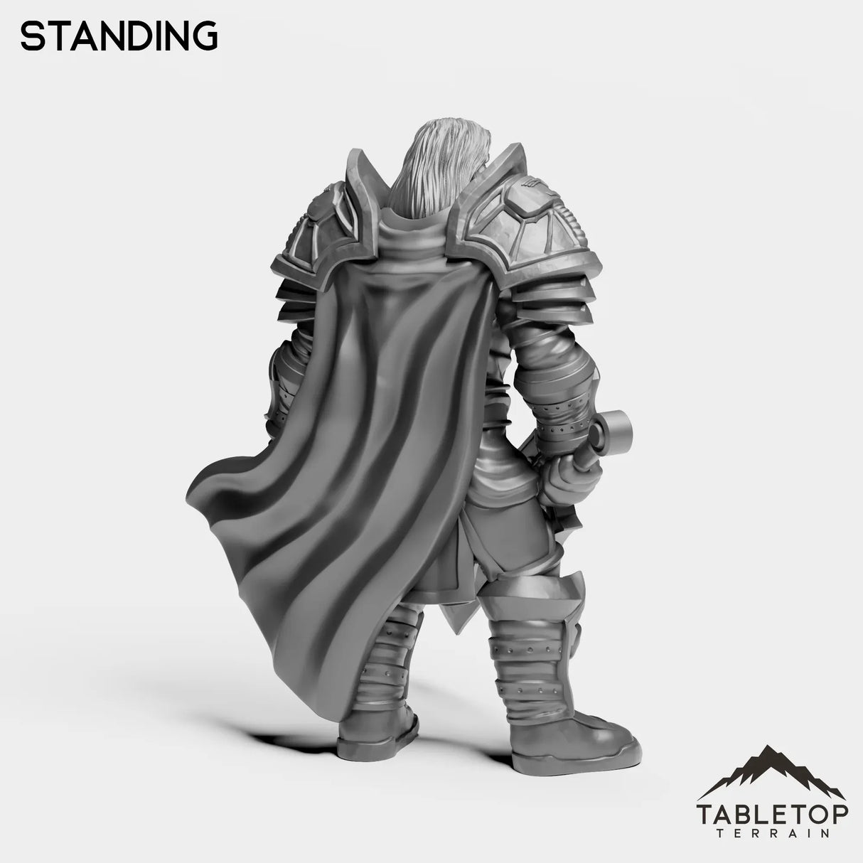 Tabletop Terrain Miniature Silver Paladin Crusader
