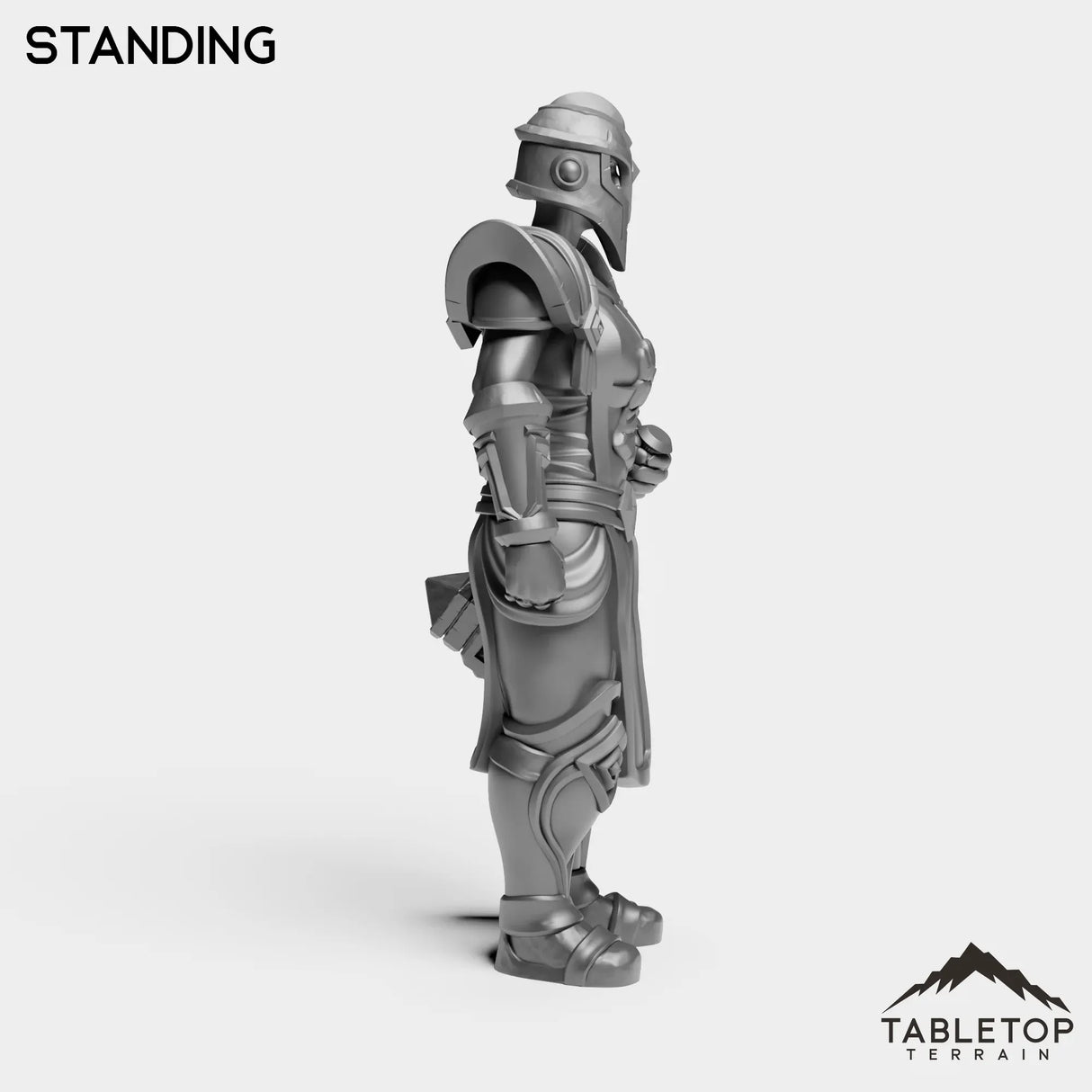 Tabletop Terrain Miniature Silver Paladin Knight Female