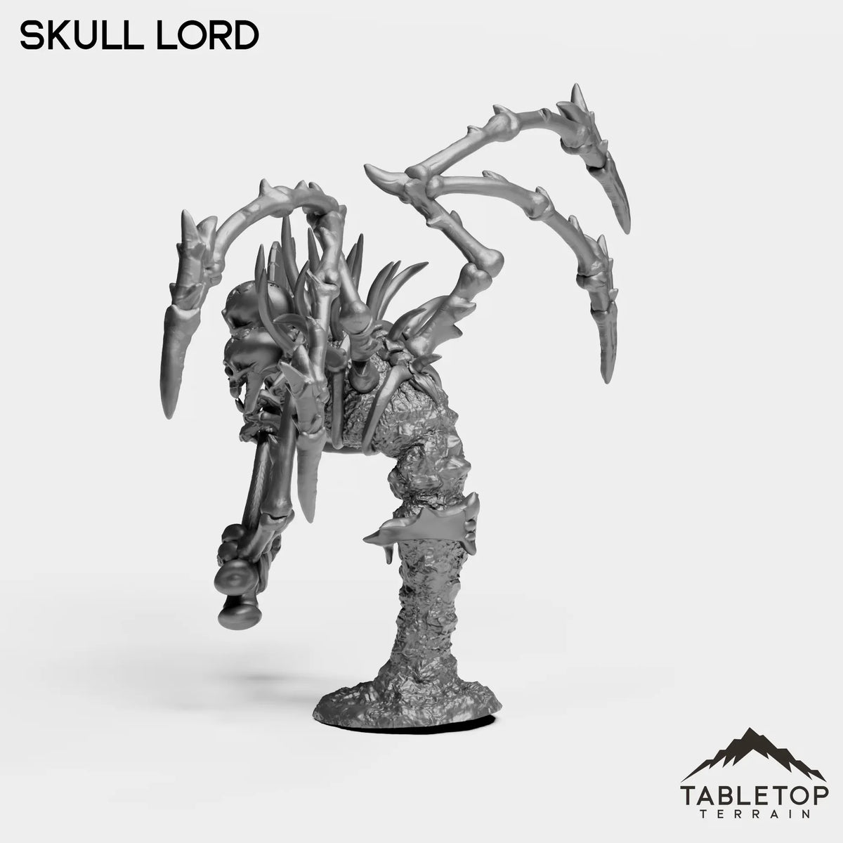Tabletop Terrain Miniature Skull Lord