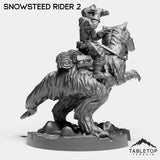 Tabletop Terrain Miniature Snowsteed Riders