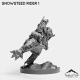 Tabletop Terrain Miniature Snowsteed Riders