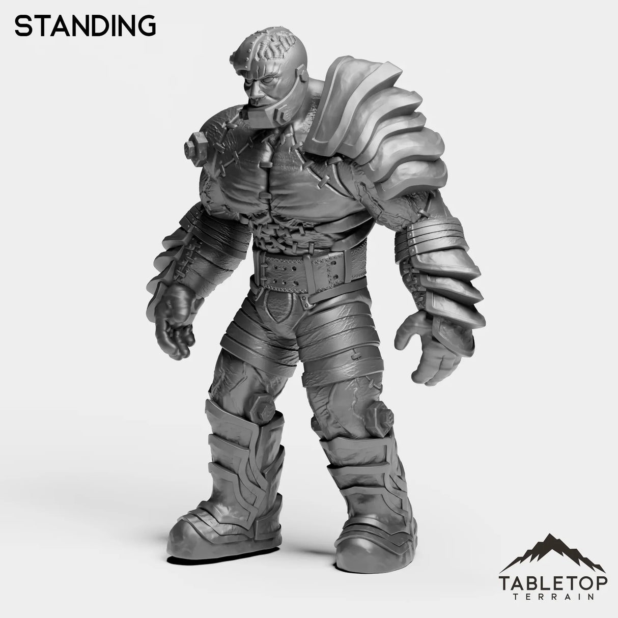 Tabletop Terrain Miniature Standing Construct Leader