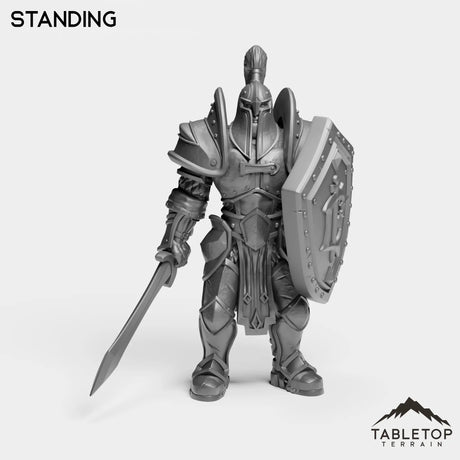 Tabletop Terrain Miniature Standing Culled Knights Footman
